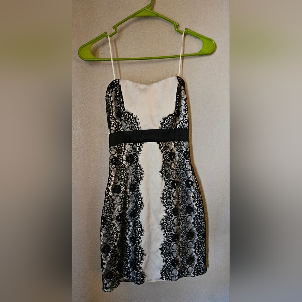 Maxandcleo/Max & Cleo Strapless Lace Detail Cocktail Dress